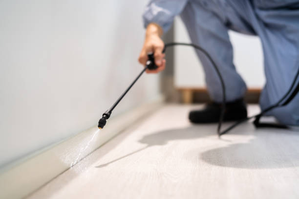 Licensed Termite Control service in Bladensburg, MD - Nex Pest Control