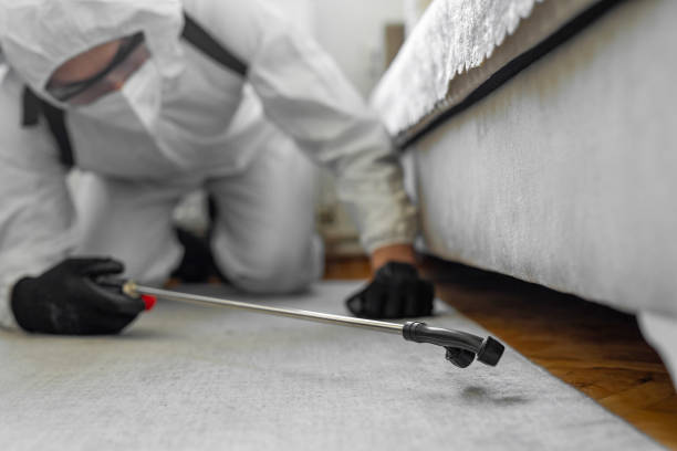 Professional Termite Control technician working in Bladensburg, MD