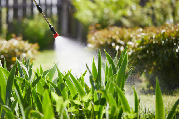 24/7 Emergency Termite Control experts in Bladensburg, MD