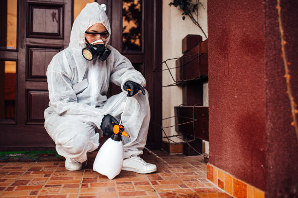 Reliable Termite Control contractor in Bladensburg, MD by Nex Pest Control