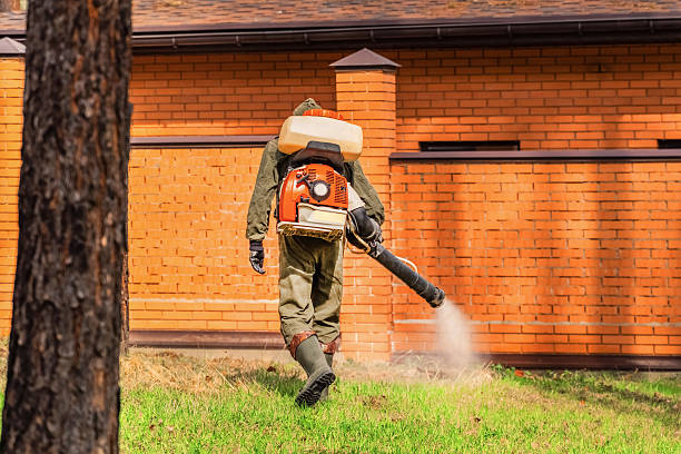 Trusted Mosquito Control service in Bladensburg, MD - Nex Pest Control